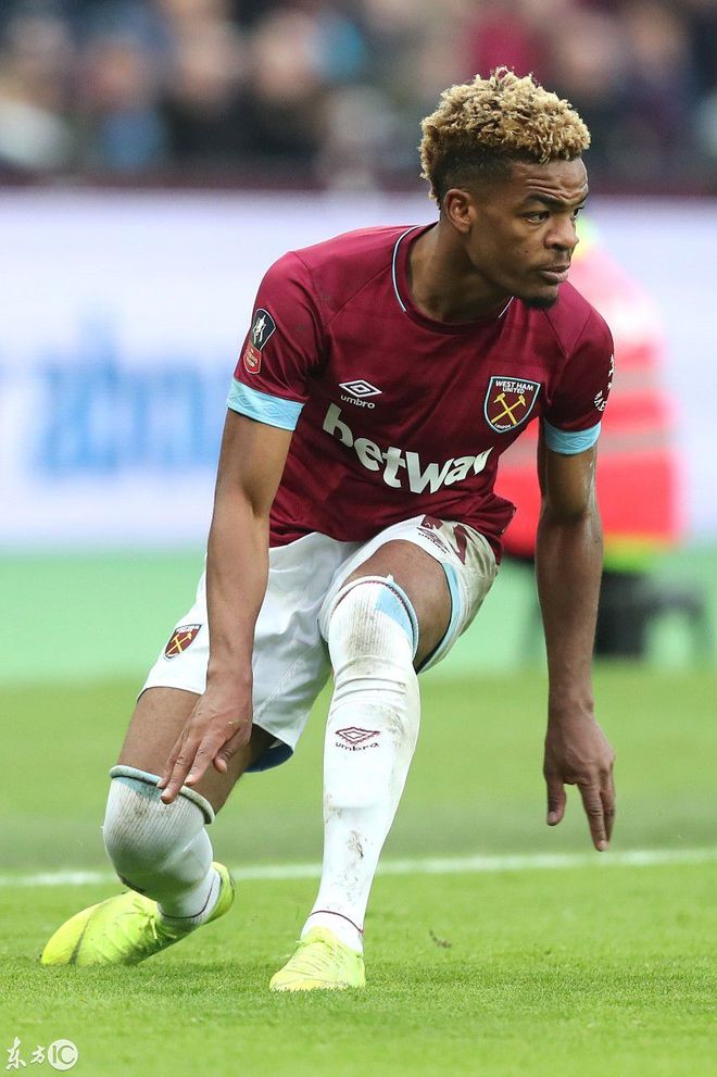 包含足总杯转会期走向成谜，夏洛特黄蜂迎来里程碑，气氛紧张，训练强度明显提升的词条